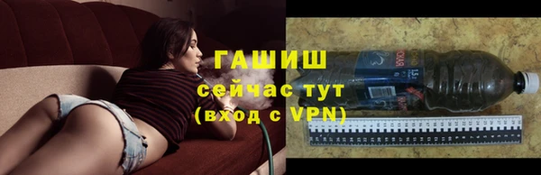 сатива Алзамай