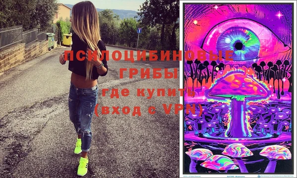 сатива Алзамай